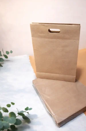 Transformadora Gondi S.A de C.V. Bolsa Kraft