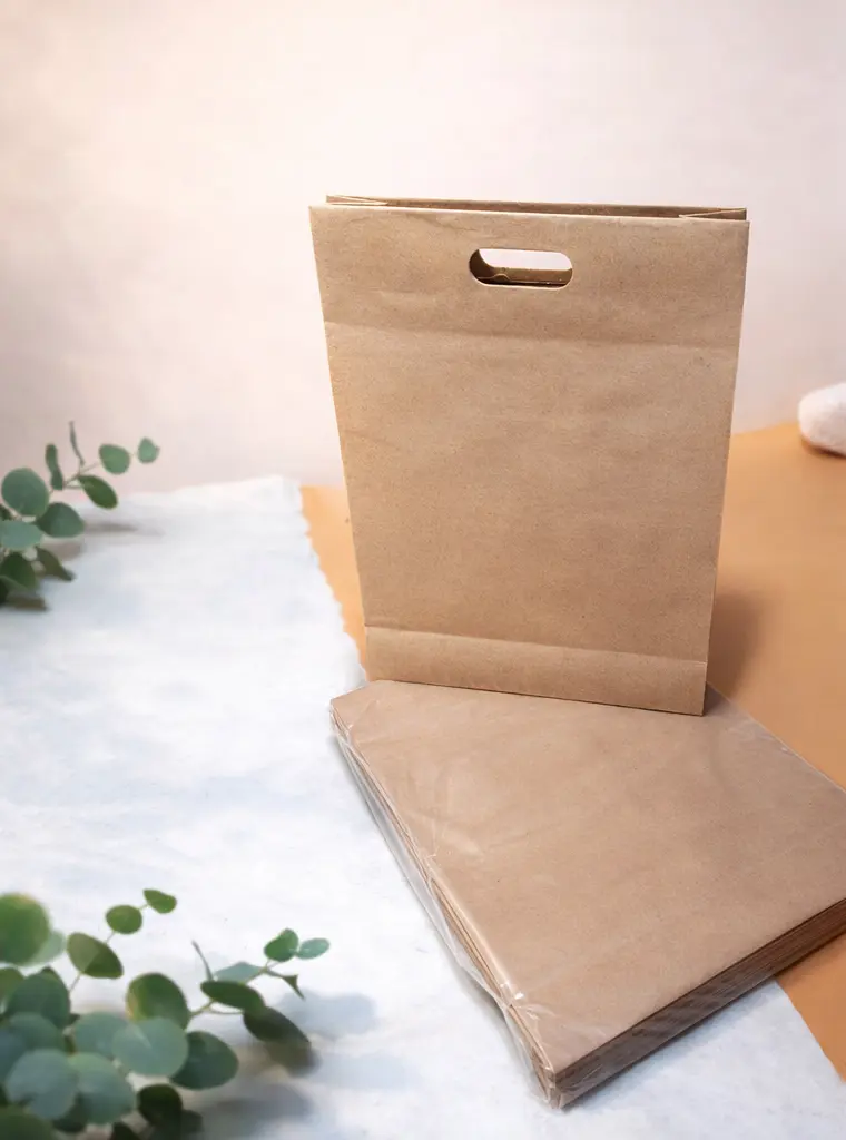 Transformadora Gondi S.A de C.V. Bolsa Kraft